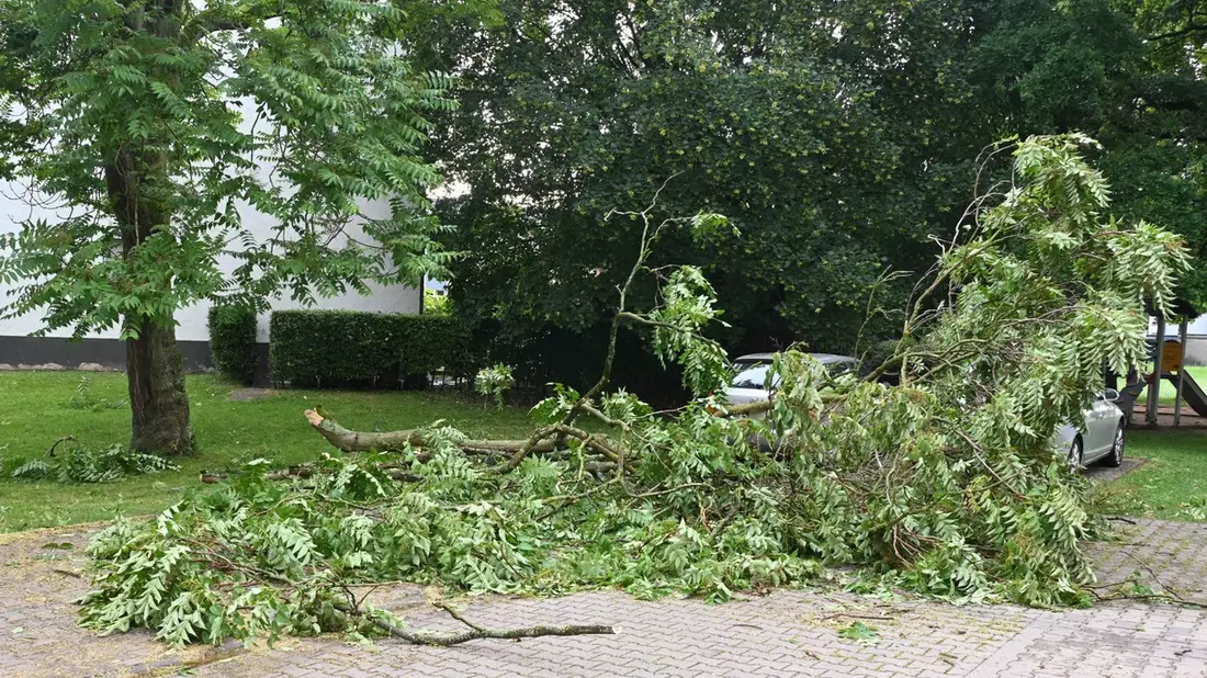 FW Pulheim: Hitzegewitter bringt Sturmböen nach Pulheim - Bild: presseportal.de