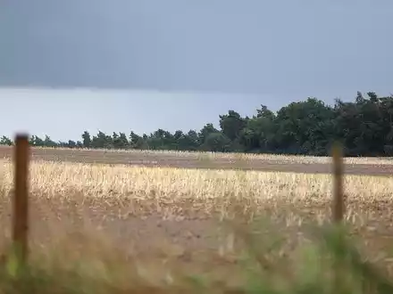 Unwetter (Archiv) - Foto: via dts Nachrichtenagentur