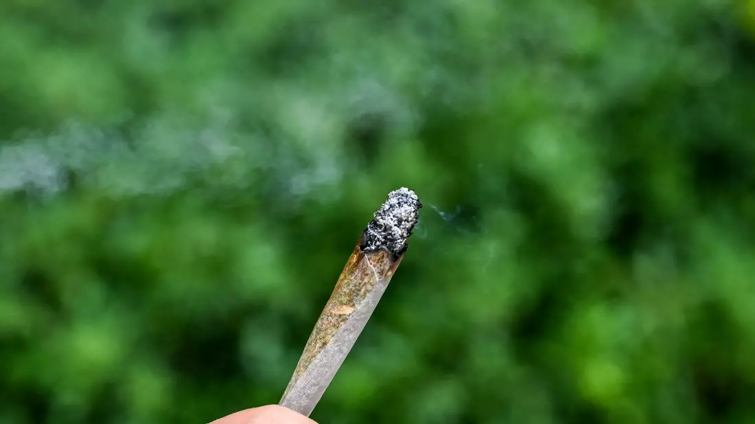 Seit rund zwei Jahren ist Cannabis in Deutschland teilweise legal.  - Bild: Jens Kalaene/dpa