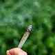 Seit rund zwei Jahren ist Cannabis in Deutschland teilweise legal.  - Bild: Jens Kalaene/dpa