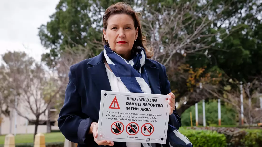 Die tödliche Virusvariante der Vogelgrippe hat das australische Festland erreicht.  - Bild: Richard Wainwright/AAP/dpa