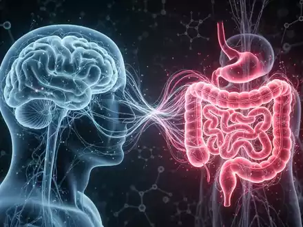 Eine stilisierte Darstellung der Darm-Hirn-Achse, die das Gehirn und den Darm durch leuchtende neuronale Verbindungen miteinander verbindet. - Foto: über boerse-global.de