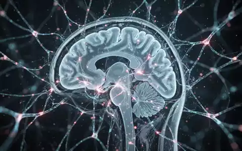 Abstrakte Darstellung eines Gehirns mit leuchtenden neuronalen Verbindungen, die Forschung und Demenzrisiko symbolisieren. - Foto: über boerse-global.de