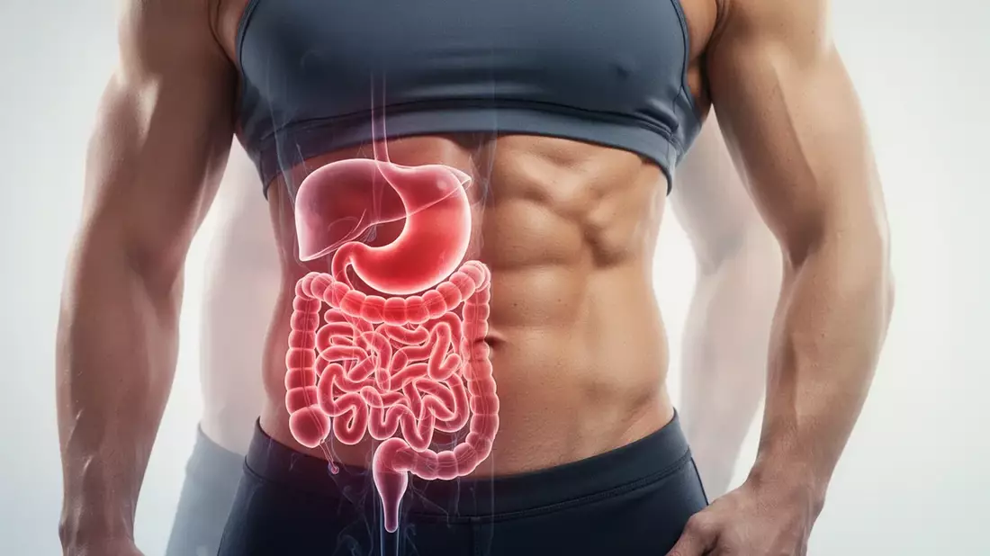 Bauchfett reduzieren senkt Diabetes-Risiko um 28 Prozent