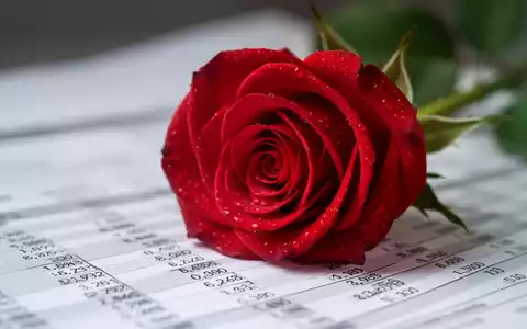 Nahaufnahme einer einzelnen roten Rose mit Tautropfen, die auf einem unscharfen Finanzdokument liegt. - Foto: über boerse-global.de