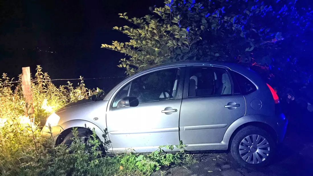 POL-GM: Flucht vor der Polizei endet im Grünstreifen - Bild: presseportal.de