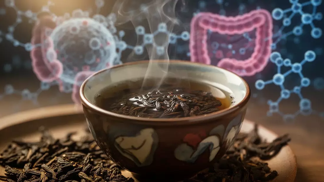 Pu-Erh-Tee: Postbiotika für die Darmflora im Fokus der Forschung