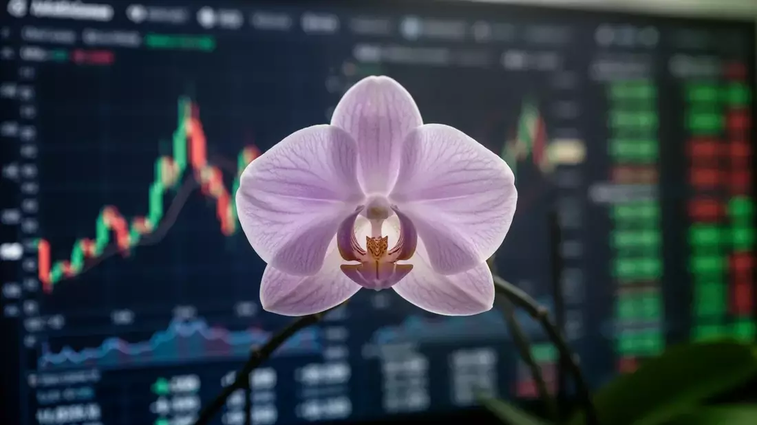 Orchid Island Capital: Fed-Zinspolitik setzt Aktie massiv unter Druck