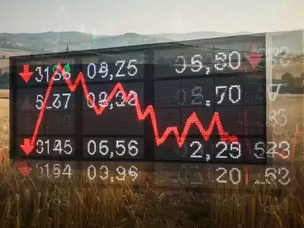 Ein Börsenticker mit einem starken Kursrückgang, überlagert von einer angedeuteten Agrarlandschaft, die den Sektor Konsumgüter darstellt. - Foto: über boerse-global.de