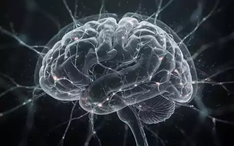 Abstrakte Darstellung von Gehirnstrukturen mit leuchtenden neuronalen Verbindungen, die an einigen Stellen verblassen, um Volumenreduktion zu symbolisieren. - Foto: über boerse-global.de