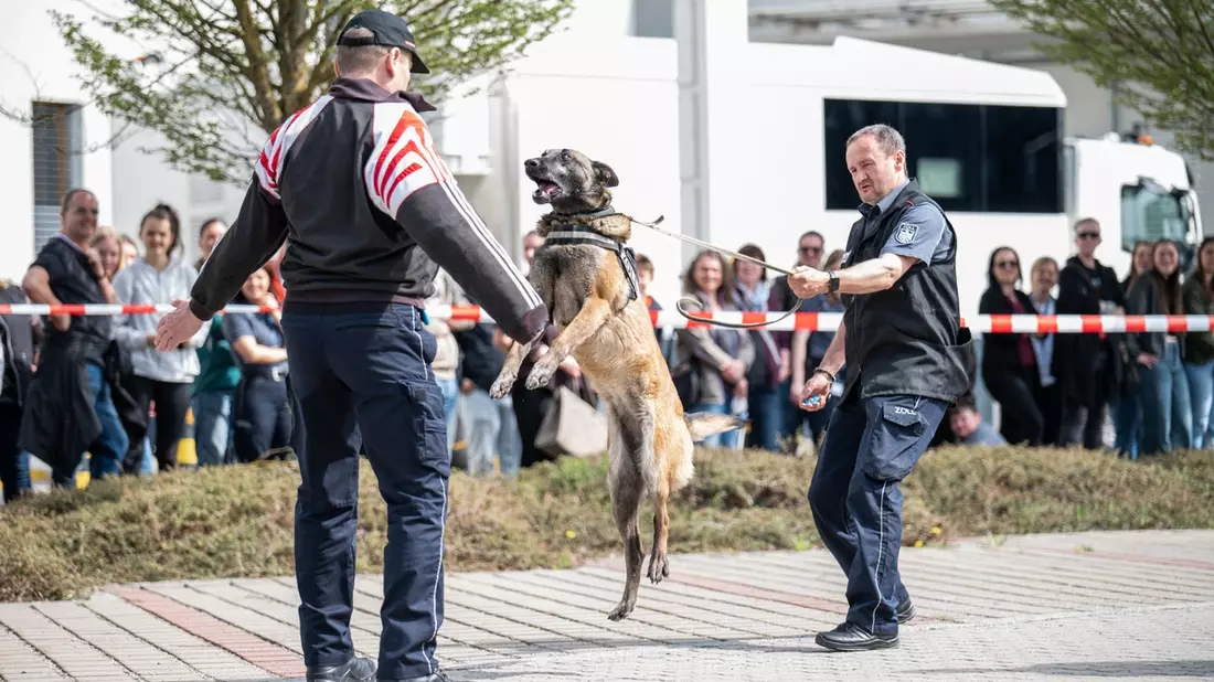 HZA-R: Zoll lädt zum Informationstag nach Hof ein - Blick hinter die Kulissen eines spannenden Berufs - Bild: presseportal.de