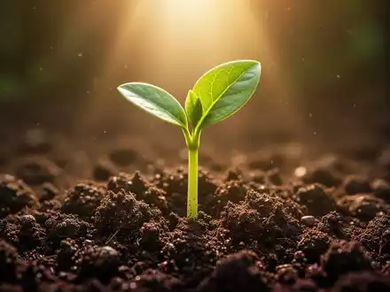 Eine einzelne grüne Pflanze wächst aus der Erde, beleuchtet von warmem Licht, das Wachstum und Stärke symbolisiert. - Foto: über boerse-global.de