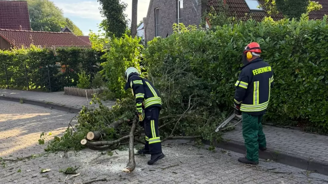 FW-AUR: Baumkrone droht niederzustürzen - Bild: presseportal.de