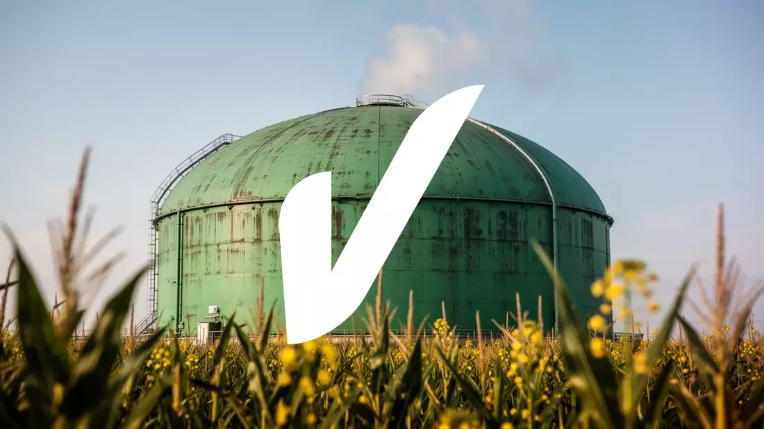 Verbio Aktie: Erholung nach Kursrutsch trotz optimistischer Prognose