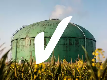 Nahaufnahme eines hohen, grünen Biogasanlagen-Fermenters unter klarem Himmel, mit aufsteigendem Dampf und verschwommenen Biokraftstoffpflanzen im Vordergrund. - Foto: über boerse-global.de
