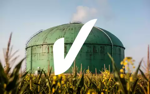 Nahaufnahme eines hohen, grünen Biogasanlagen-Fermenters unter klarem Himmel, mit aufsteigendem Dampf und verschwommenen Biokraftstoffpflanzen im Vordergrund. - Foto: über boerse-global.de