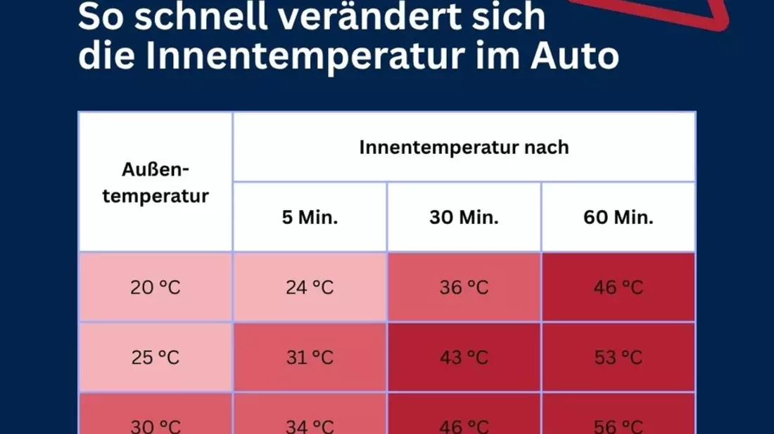 POL-HAM: Polizei befreit Hund bei sommerlichen Temperaturen aus aufgeheiztem Auto - Bild: presseportal.de