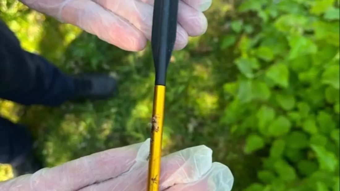 POL-KLE: Kleve - Taube am Naturpark in Kellen getötet aufgefunden / Polizei stellt Armbrustpfeil sicher - Bild: presseportal.de