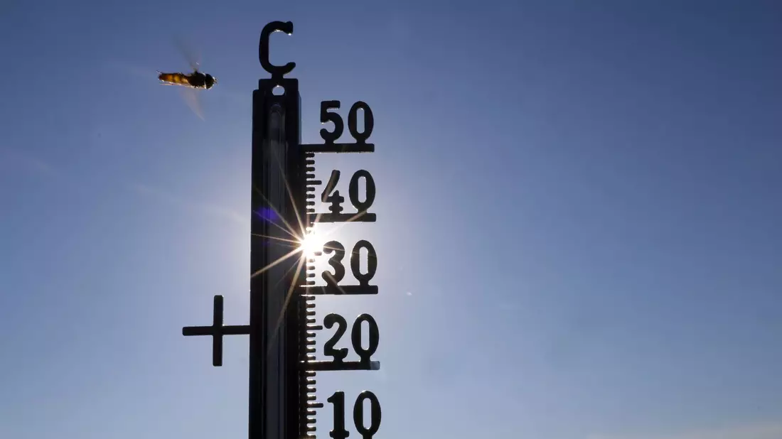 Die Temperaturen können bei bis zu 39 Grad liegen.  - Bild: Thomas Warnack/dpa