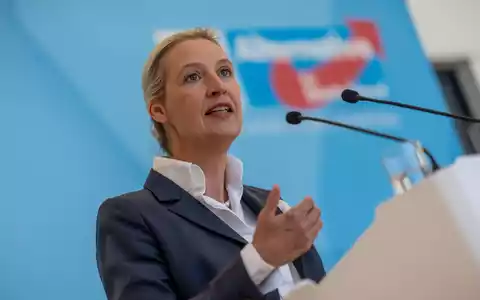 AfD-Chefin Alice Weidel bemängelt, die Empfehlungen der Rentenkommission seien nicht ausreichend. - Foto: Michael Kappeler/dpa
