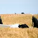 Zwei Menschen starben bei dem absturz- - Bild: Florian Wiegand/dpa