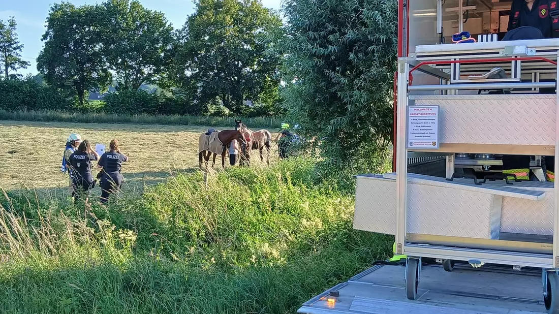 FW Rheurdt: Pferd Donoven stürzt in Graben - und rettet sich im Beisein der Feuerwehr selbst - Bild: presseportal.de