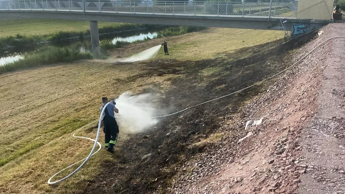 FW-OG: Grasflächenbrand am Kinzigdamm - Trockenheit und Hitze fordern ihren Tribut - Bild: presseportal.de