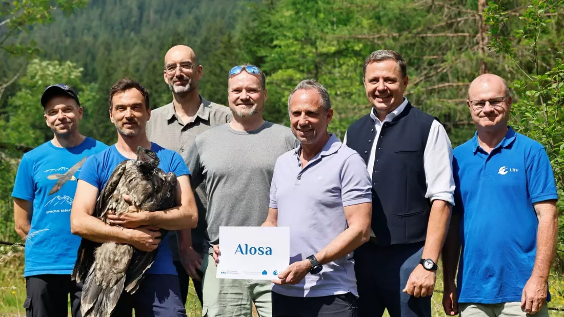 Bartgeier-Projekt geht ins sechste Jahr: Alosa und Zierli neu im Klausbachtal / LBV und Nationalpark Berchtesgaden wildern erneut zwei junge Bartgeier aus - Bild: presseportal.de