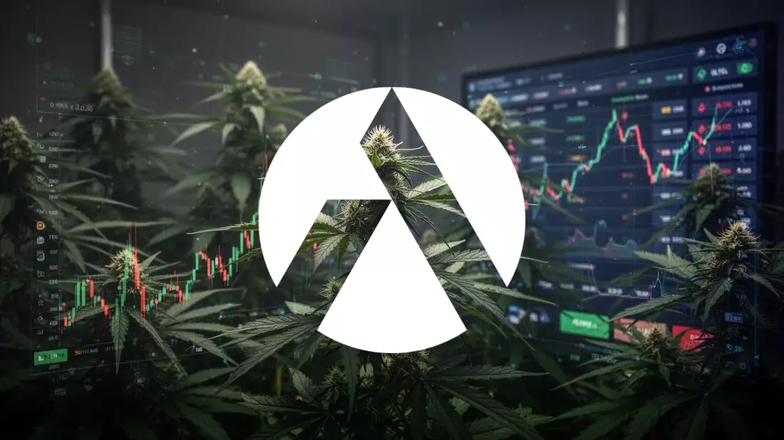 Tilray startet WM-Wette mit Gratis-Bier für Fans