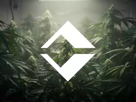 Eine abstrakte, atmosphärische Szene der Cannabisindustrie mit sanft beleuchtetem, üppigem Grün, das Wachstum symbolisiert. - Foto: über boerse-global.de