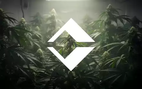 Eine abstrakte, atmosphärische Szene der Cannabisindustrie mit sanft beleuchtetem, üppigem Grün, das Wachstum symbolisiert. - Foto: über boerse-global.de