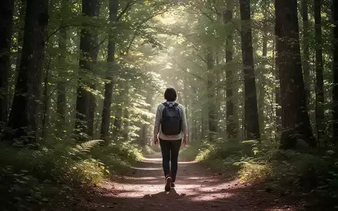 Eine Person geht auf einem Waldweg, umgeben von grünen Bäumen und natürlichem Licht, das durch das Blätterdach fällt. - Foto: über boerse-global.de