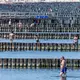 Temperaturen von über 40 Grad erwartet der DWD eher ab Freitag. - Bild: Jens Büttner/dpa