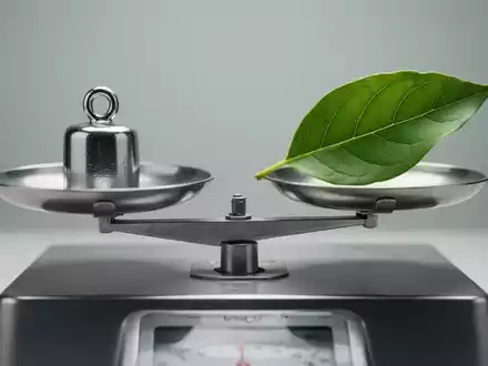 Eine Waage mit einem Gewicht auf der einen Seite und einem grünen Blatt auf der anderen, die Gleichgewicht und Gesundheit symbolisieren. - Foto: über boerse-global.de