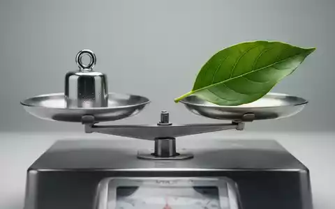 Eine Waage mit einem Gewicht auf der einen Seite und einem grünen Blatt auf der anderen, die Gleichgewicht und Gesundheit symbolisieren. - Foto: über boerse-global.de