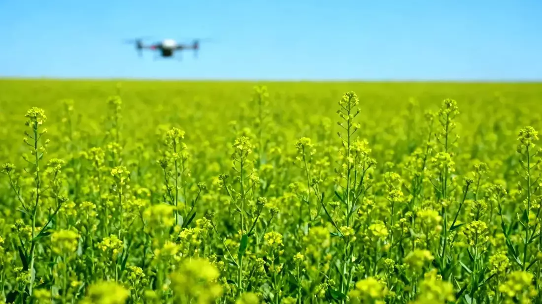 Bayer Stock at Crossroads: Supreme Court Ruling, Roundup Settlement, US Tariffs