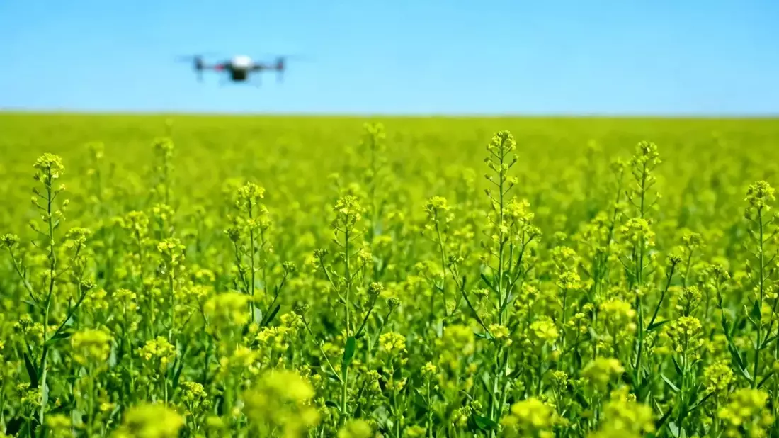 Bayer Stock Surges 52% Despite US Drug Pricing Probe and Glyphosate Ruling