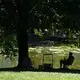 Ein Schattenplatz ist nicht nur für vulnerable Gruppen eine gute Idee. - Bild: Marcus Brandt/dpa