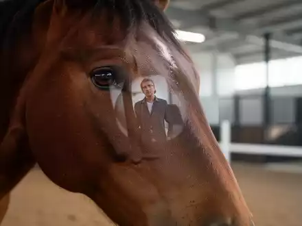 Ein Pferdekopf im Close-up, sein Auge spiegelt eine menschliche Silhouette. Der Hintergrund ist unscharf, ein moderner Trainingsbereich. - Foto: über boerse-global.de
