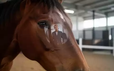 Ein Pferdekopf im Close-up, sein Auge spiegelt eine menschliche Silhouette. Der Hintergrund ist unscharf, ein moderner Trainingsbereich. - Foto: über boerse-global.de