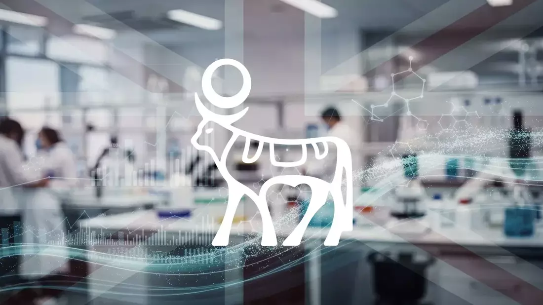 Novo Nordisk Shares Rally 12% Amid Major Data Breach and IP Theft