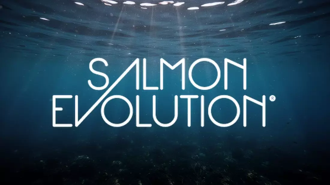 Salmon Evolution Aktie: Talfahrt stoppt Kapitalerhöhung