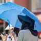 Kopfbedeckung, Sonnenschutz und Co. - in diesen Tagen gefragte Begleiter. - Bild: Andreas Arnold/dpa