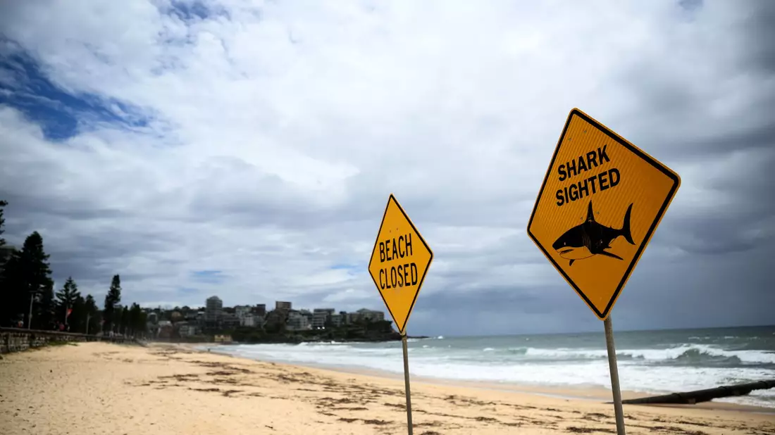 In den vergangenen Tagen wurden immer wieder Haie gesichtet - auch vor dem berühmten Bondi Beach. (Symbolbild) - Bild: Bianca De Marchi/AAP/dpa