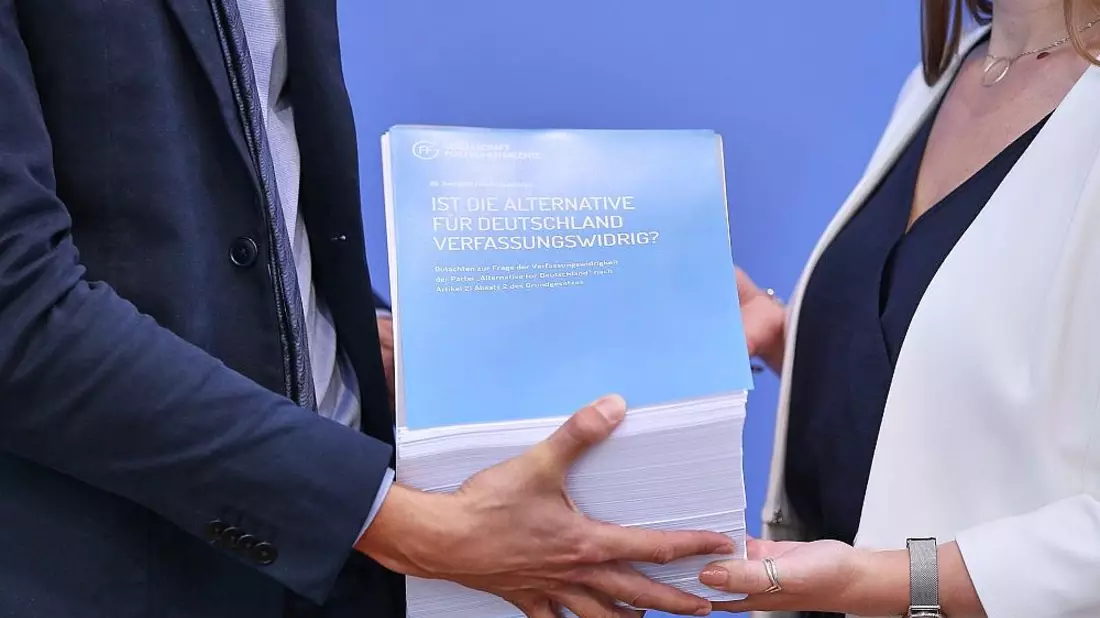 Bundesregierung erwägt trotz Gutachten keinen AfD-Verbotsantrag