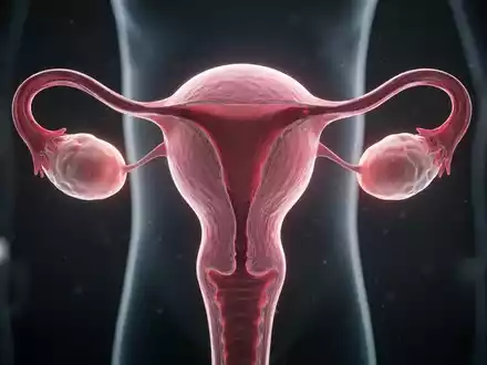Abstrakte Darstellung weiblicher Fortpflanzungsorgane, Uterus und Eierstöcke, mit sanftem Leuchten vor dunklem, klinischem Hintergrund. - Foto: über boerse-global.de