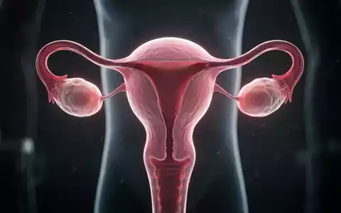 Abstrakte Darstellung weiblicher Fortpflanzungsorgane, Uterus und Eierstöcke, mit sanftem Leuchten vor dunklem, klinischem Hintergrund. - Foto: über boerse-global.de