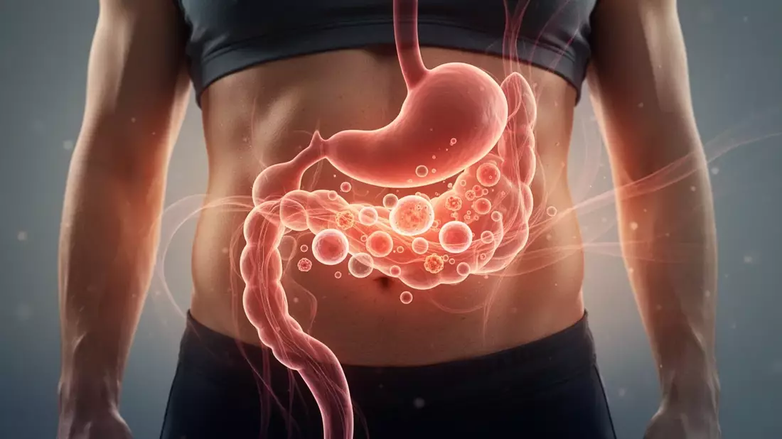 Bauchfett reduzieren: Neue Studien zu Diabetes- und Krebsrisiko