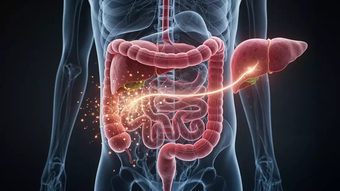 Leaky Gut als Schlüssel zur Fettleber: Neue Therapieansätze