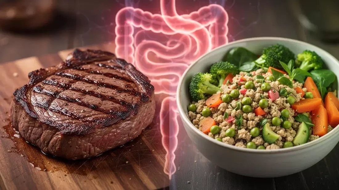 Rindfleischprotein: Neue Studie zeigt Gefahr für Darmgesundheit